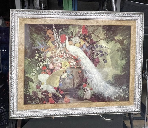 White peacock framed signed - peacock,